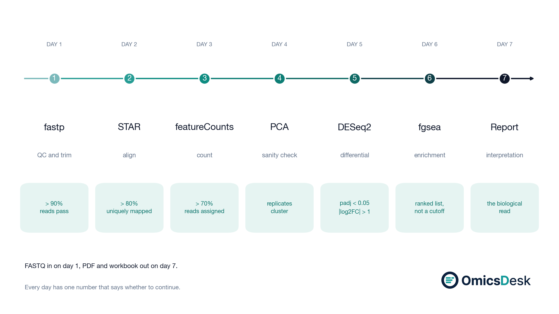 A seven-day RNA-seq timeline: one continuous spine with seven numbered nodes, each labelled with its tool (fastp, STAR, featureCounts, PCA, DESeq2, fgsea, report) and the acceptance threshold for that day.