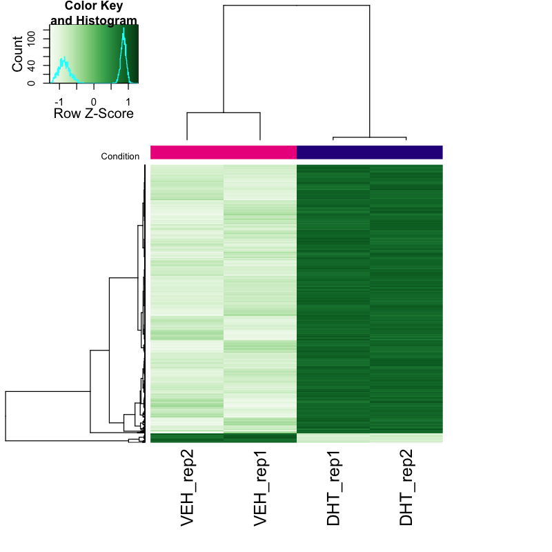Heatmap of differentially accessible chromatin peaks in VCaP cells, showing clean separation between DHT and vehicle replicates